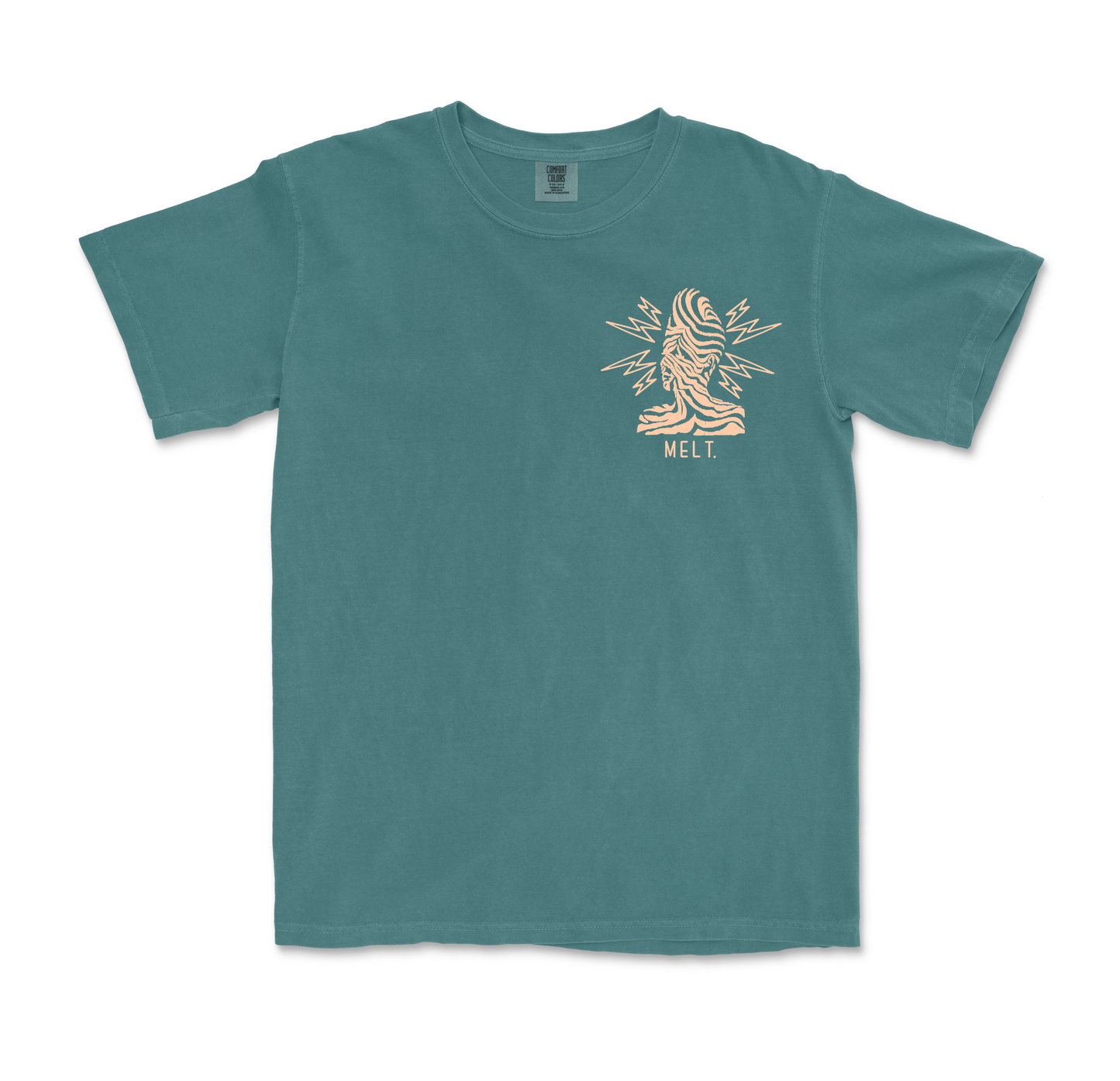 "Zeebrah" T-Shirt